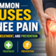 Common Causes of Knee Pain