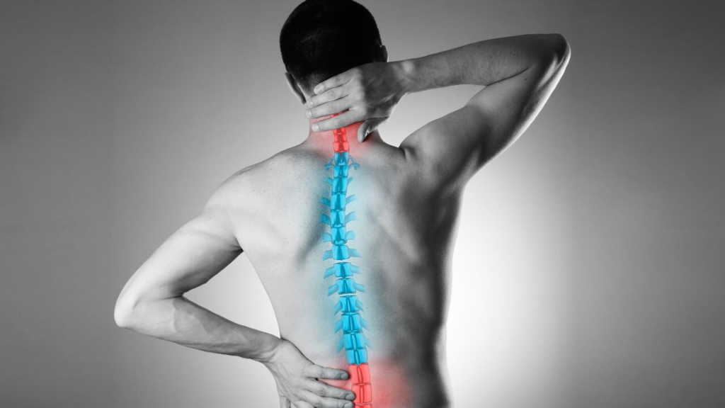 Healthy Bones and Joints