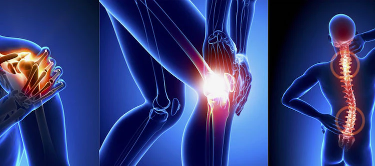 Healthy Bones and Joints